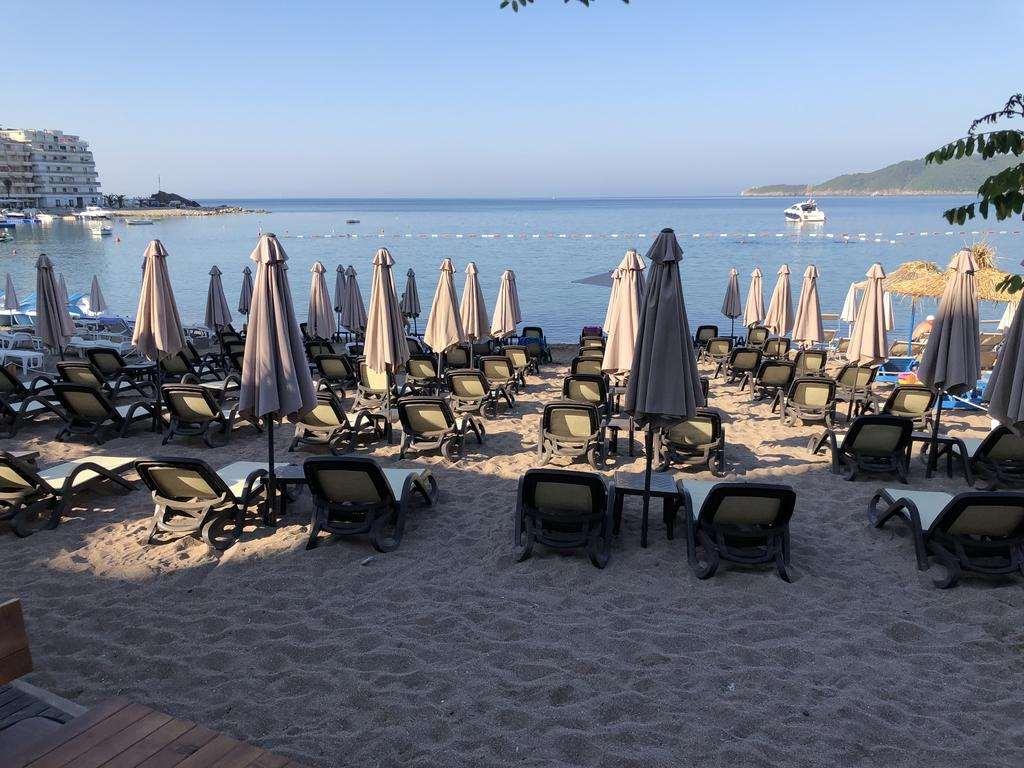 Aleksandar - *
